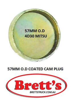 ME000024 CUPPED PLUGGED WITH COATING CAM PLUG 4D30 6DS7 57MM OD FE211 FK102 1976- SEALED PLUG CAM Code : 26ACC1910
