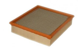 A0610 AIR FILTER  Ashika20-0L-L07 AZUMIA47002 FILTRONAP 129/1 FRAMCA5602 GM25069300 LANDROVERESR0341 LANDROVERESR341 MAHLE/KNECHTLX 980 WIXWA6311 WESFIL WCA9293